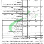 Rawalpindi Medical University RMU Jobs 2026 Latest Advertisement RMU Jobs