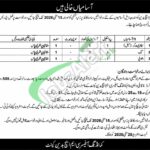CMH Badin Jobs