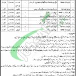 FF Center Abbottabad Jobs