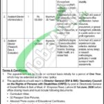 Social Welfare & Bait-Ul-Maal Punjab Jobs