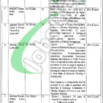 Special Education Department Punjab Jobs