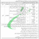 COD Havelian Jobs