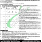 Punjab Daanish School Mianwali Jobs