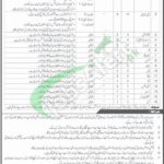 Junior Leaders Academy Shinkiari Jobs