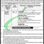 Constitutional Organization Jobs 2026 Online Application Form Constitutional Organization Jobs