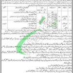 Excise and Taxation Sindh Jobs