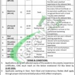 PO Box 642 GPO Peshawar Jobs 2026 Latest | www.khyberpakhtunkhwa.gov.pk PO Box 642 GPO Peshawar Jobs