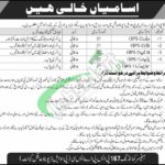 POL Depot Pano Aqil Jobs