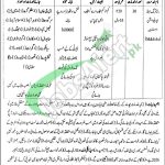 PESSI Jobs