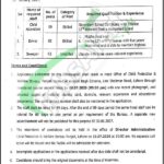 Application Form Child Protection and Welfare Bureau Careers 2026 Punjab Child Protection and Welfare Bureau Punjab Jobs