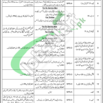 PO Box 368 Rawalpindi Jobs