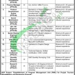 Tourism Archaeology and Museum Department Punjab Jobs 2026 Lahore Advertisement Directorate General of Archaeology Jobs