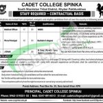 Cadet College Spinkai Jobs