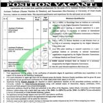 uhs.edu.pk 2026 Online Form Download UHS Lahore Jobs