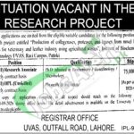 Latest UVAS Jobs 2026 Online Apply | University of Veterinary & Animal Sciences UVAS Jobs