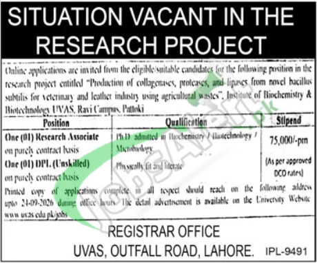 Latest UVAS Jobs 2026 Online Apply | University of Veterinary & Animal Sciences UVAS Jobs