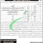 District & Session Court Naseerabad Jobs Jobs 2026 Career Opportunities Session Court Naseerabad Jobs