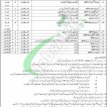 School of Infantry & Tactics Quetta Jobs 2026 Application Form Download School of Infantry & Tactics Quetta Cantt Jobs