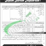 CMH Mailsi Jobs