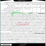 Mardan Wildlife Division Jobs