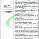 PMDFC Punjab Jobs 2026 Latest Career Opportunities PMDFC Jobs