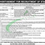 Directorate General of Mines & Minerals Department Punjab Jobs