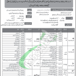 DSF Jobs