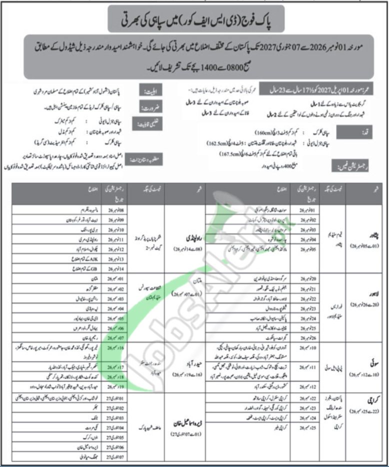 DSF Jobs