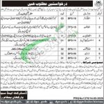 District & Session Court Barkhan Jobs 2026 Test & Interview Date Session Court Barkhan Jobs