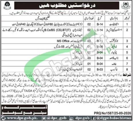 Session Court Kohlu Jobs