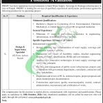 PMDFC Punjab Jobs
