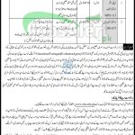 Buner Wildlife Jobs