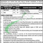 PO Box 755 Post Mall Peshawar University Jobs