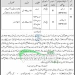 Join Public Sector Organization KPK Jobs 2026 Latest PO Box 591 PO Box 591 Jobs