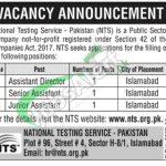 National Testing Service Assistant DIrector Jobs