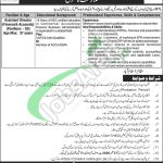 NTL Jobs