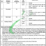 Chief Minister's Inspection Team Jobs