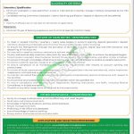 Apply in NBP Jobs 2026 Latest Advertisement NBP Jobs
