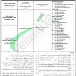 Junior Executive Jobs in NADRA 2026 Registration Date NADRA Junior Executive Jobs