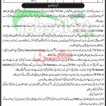 Session Court Upper Chitral Jobs