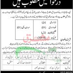 PO Box 502 GPO Peshawar Jobs