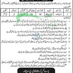 PO Box 609 GPO Peshawar Jobs