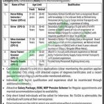 Cadet College Swabi Jobs