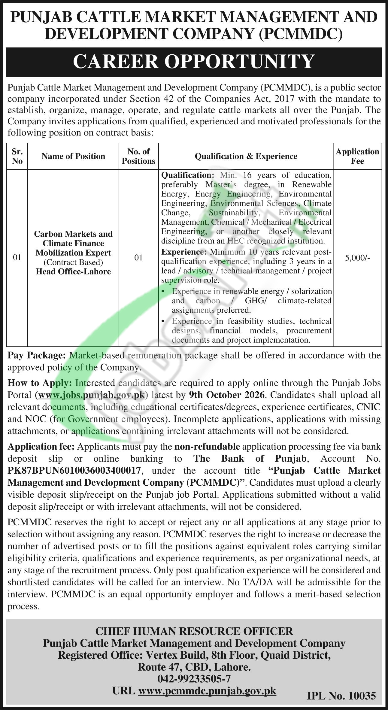 Punjab Cattle Market Management & Development Company Jobs 2026 PCMMDC Punjab Cattle Market Management & Development Company Jobs